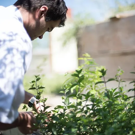 Restaurant Goerg Katzelsdorf