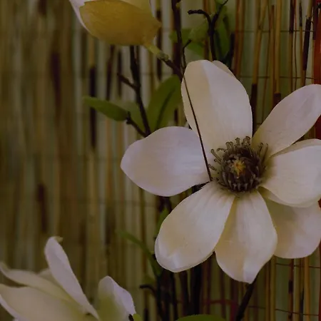 Πανδοχείο Restaurant Goerg